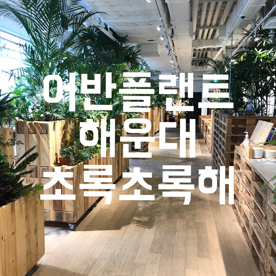 골든플랜트 이미지
