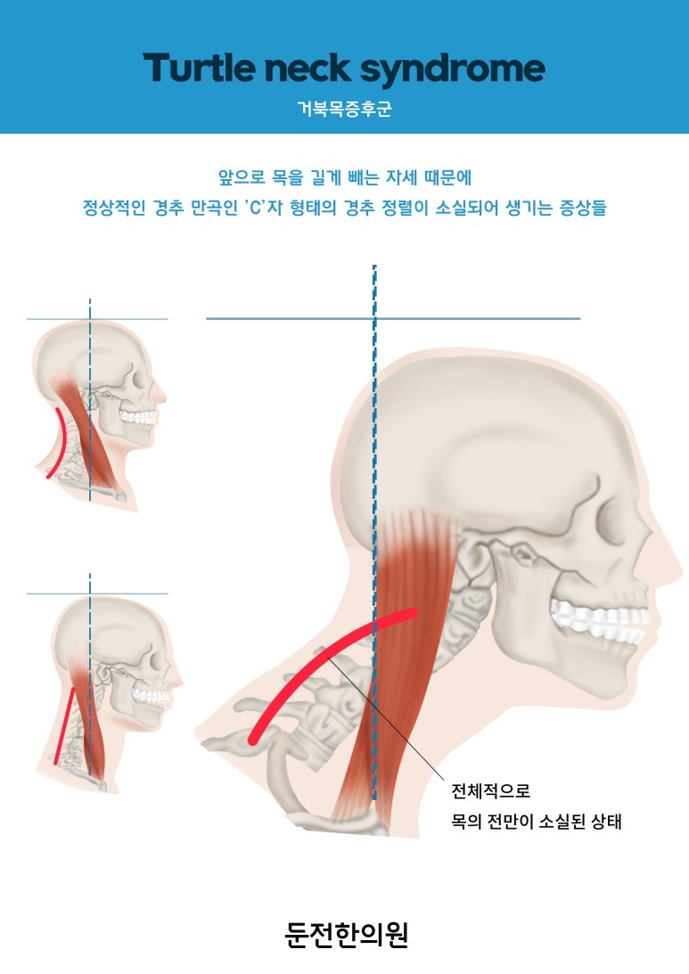 둔전한의원 이미지