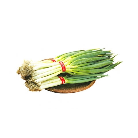 다온 할인마트(식자재) 이미지