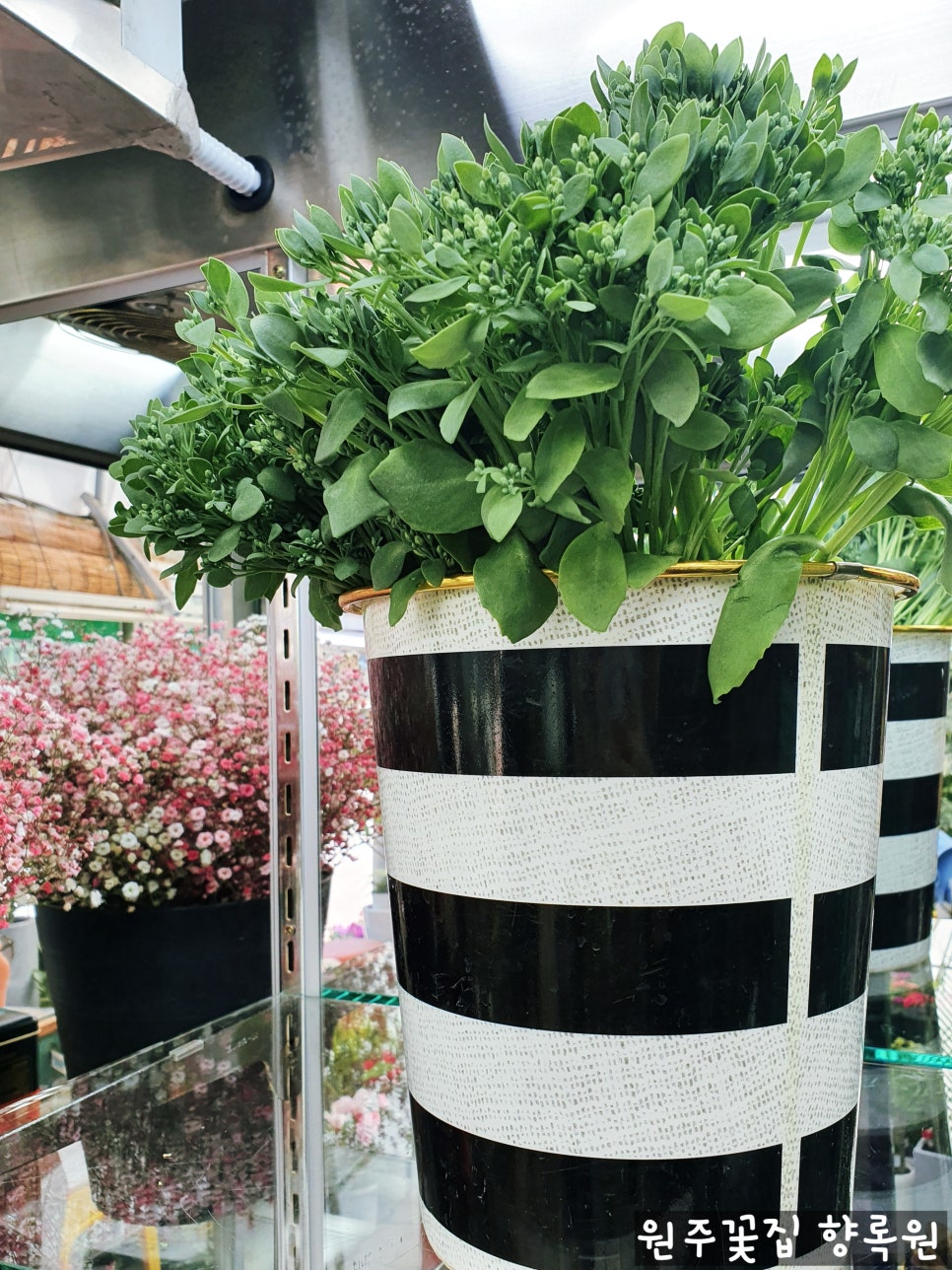 향록원 이미지