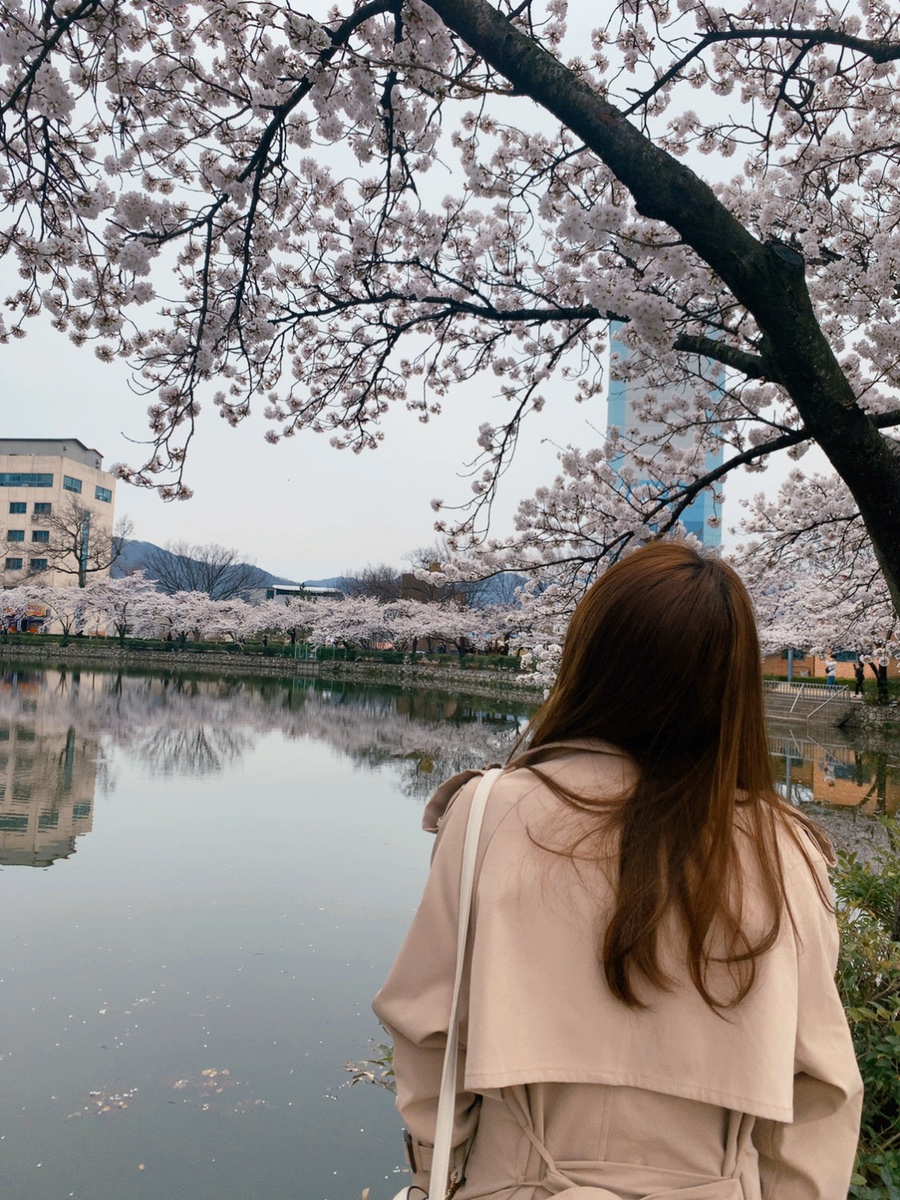 오늘도 참 예쁘다 이미지