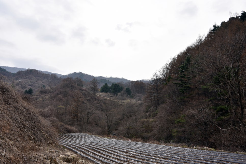 증산수도계곡캠핑장 이미지