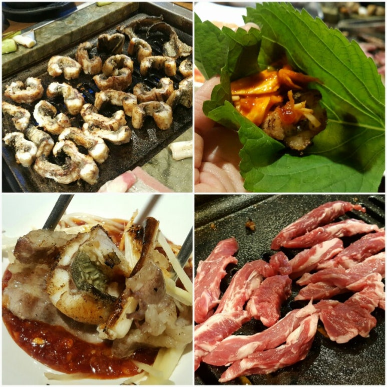 무한장어연구소 이미지