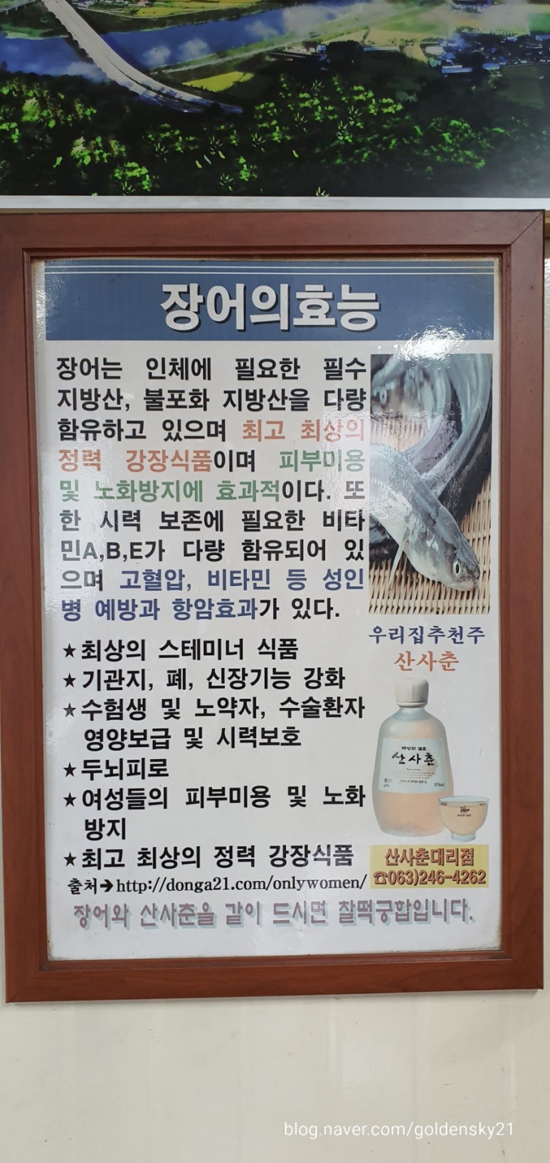 오수장어 이미지