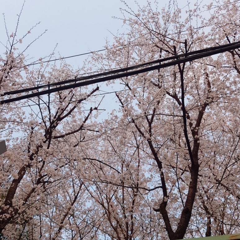 덕창모터스 이미지
