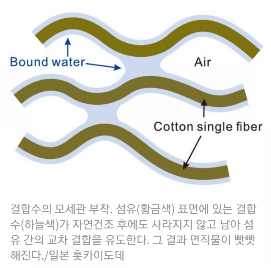주식회사 말린 이미지