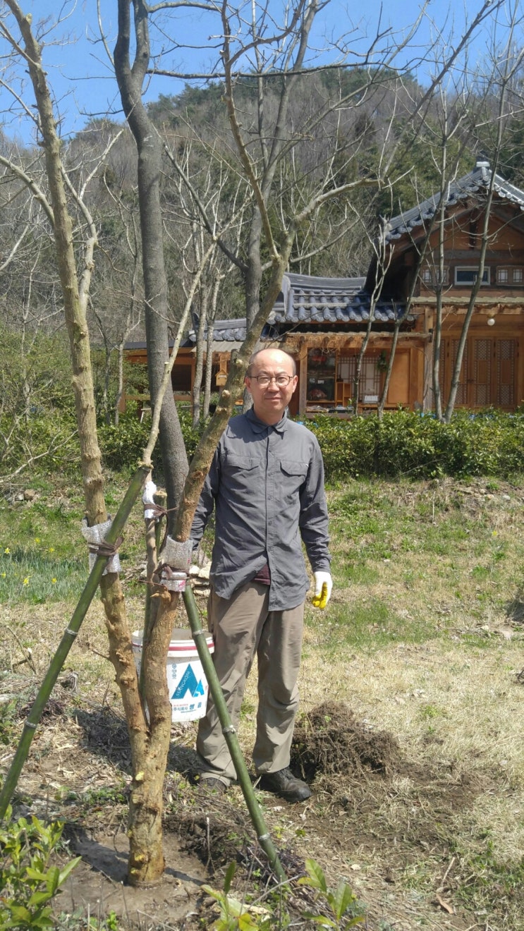 월인천강나비황차원 이미지