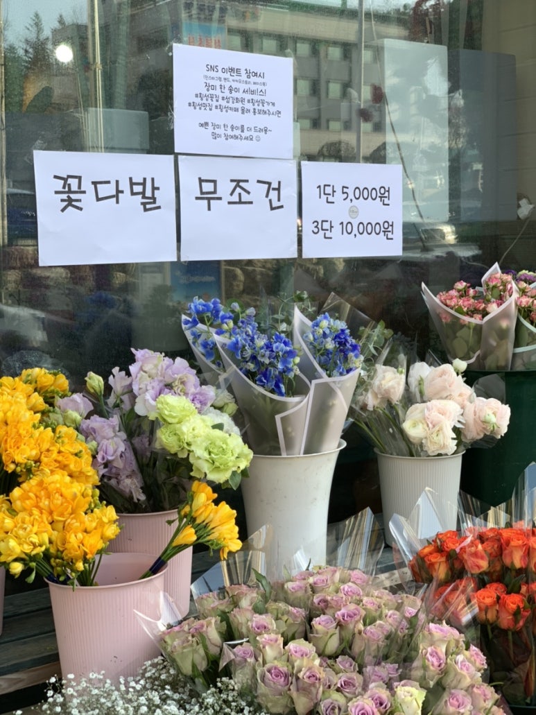 섬강화원 이미지