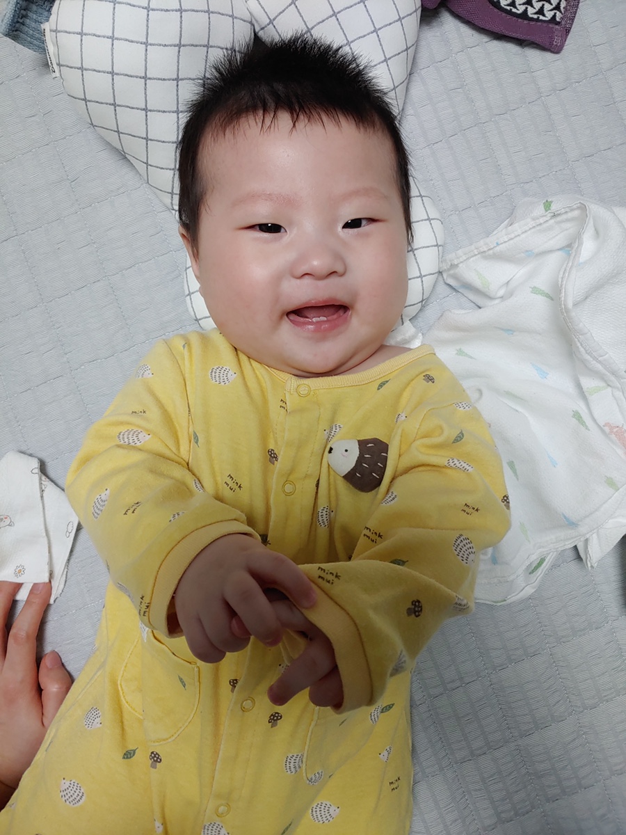 돌고래사과 이미지
