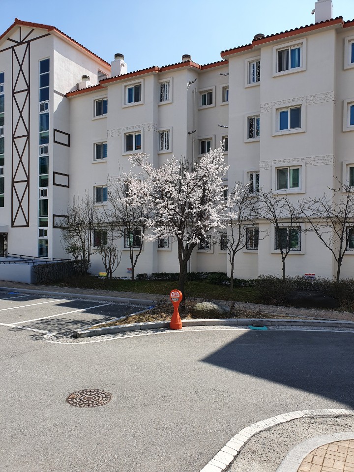 선광 이미지