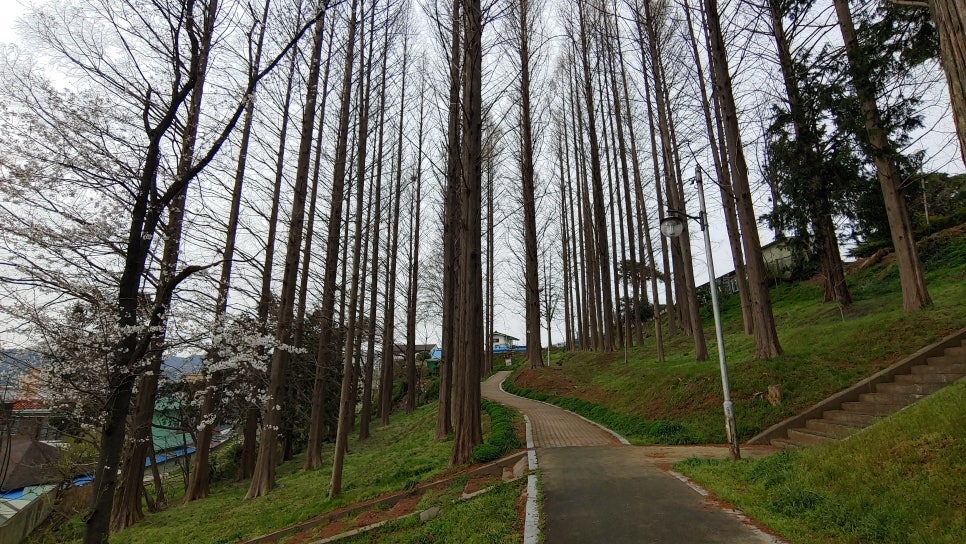 광산문화원 이미지