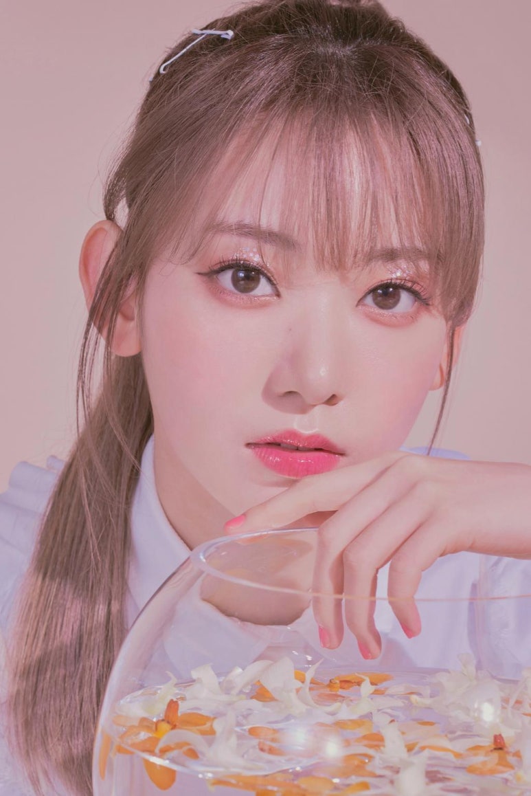 어바웃팬 이미지