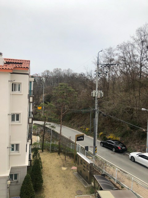 선광 이미지