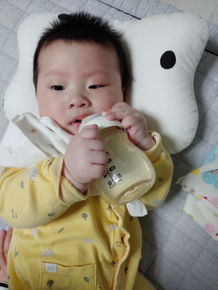 돌고래사과 이미지