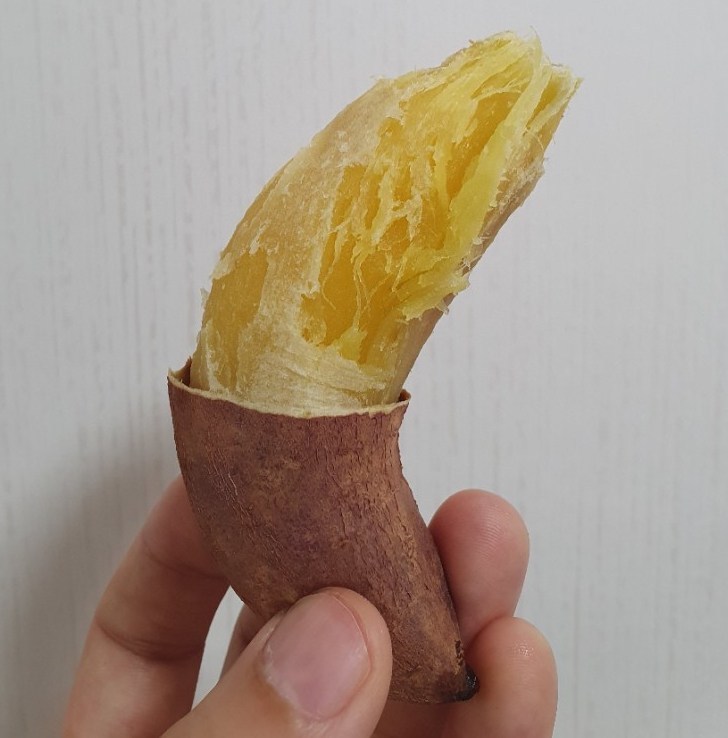 젠토리 이미지