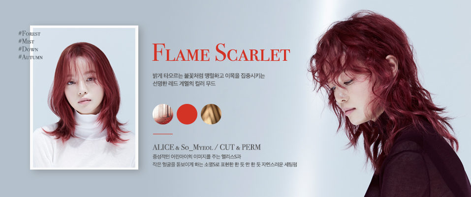 헤어스칼렛 이미지