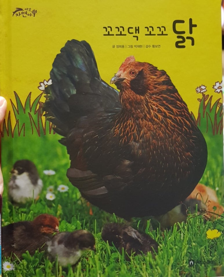 오리랑꼬꼬랑 이미지