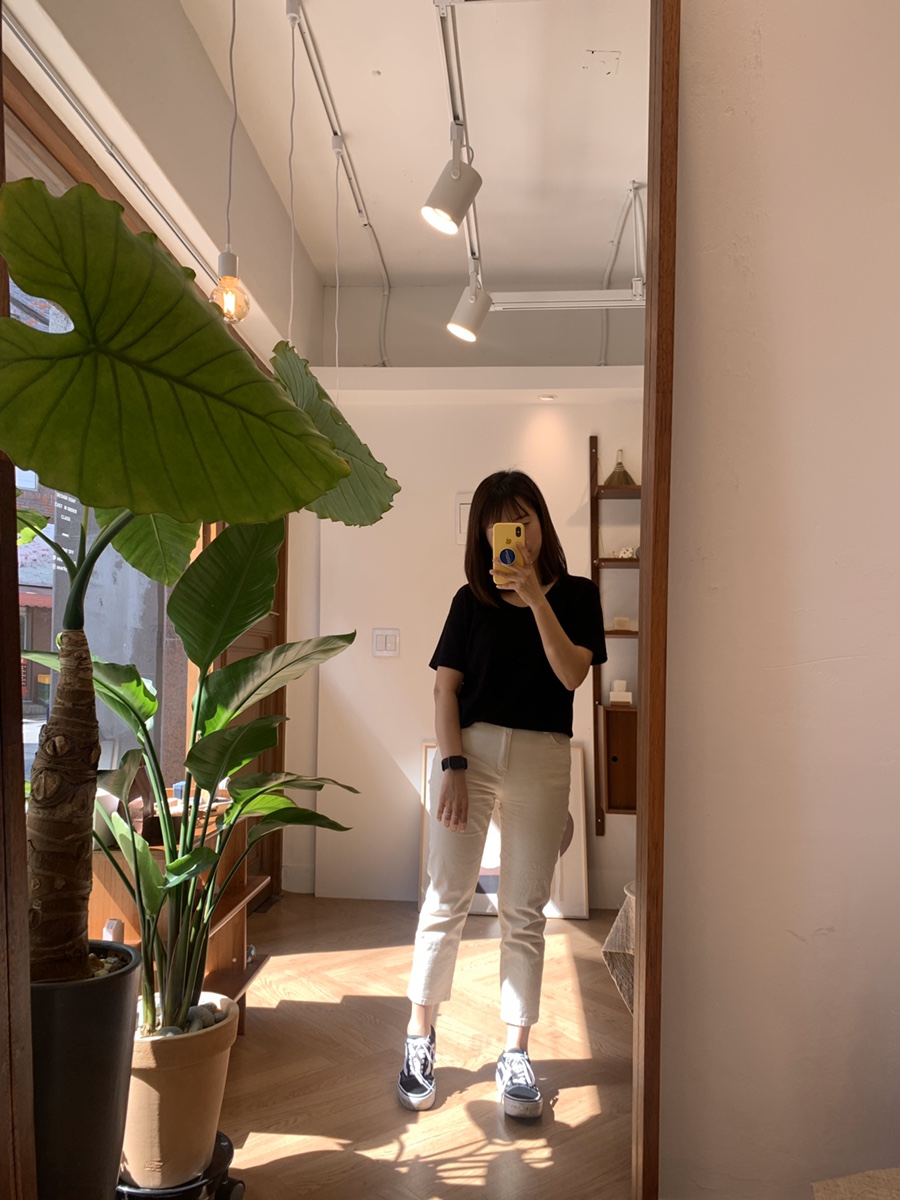 니어바이솝 이미지