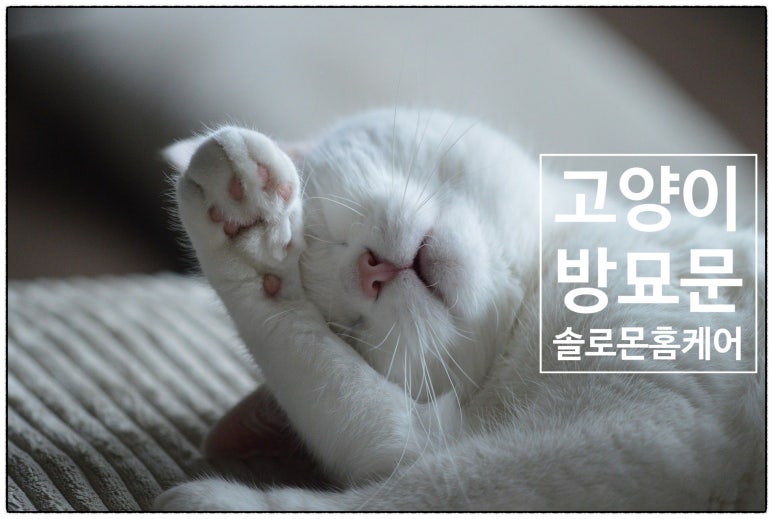 유원홈케어 이미지