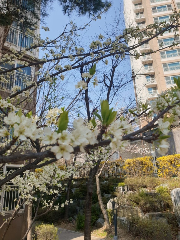 찬란한 세상 이미지