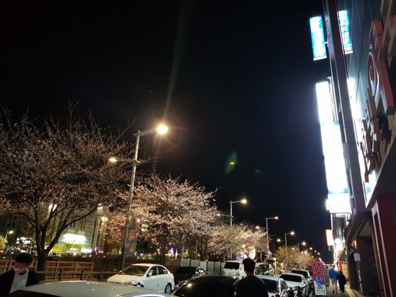 사주타로카페 이미지