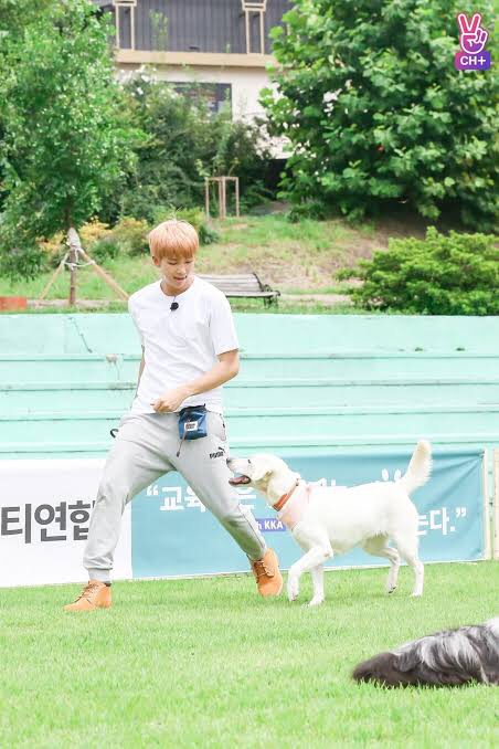알엠 이미지