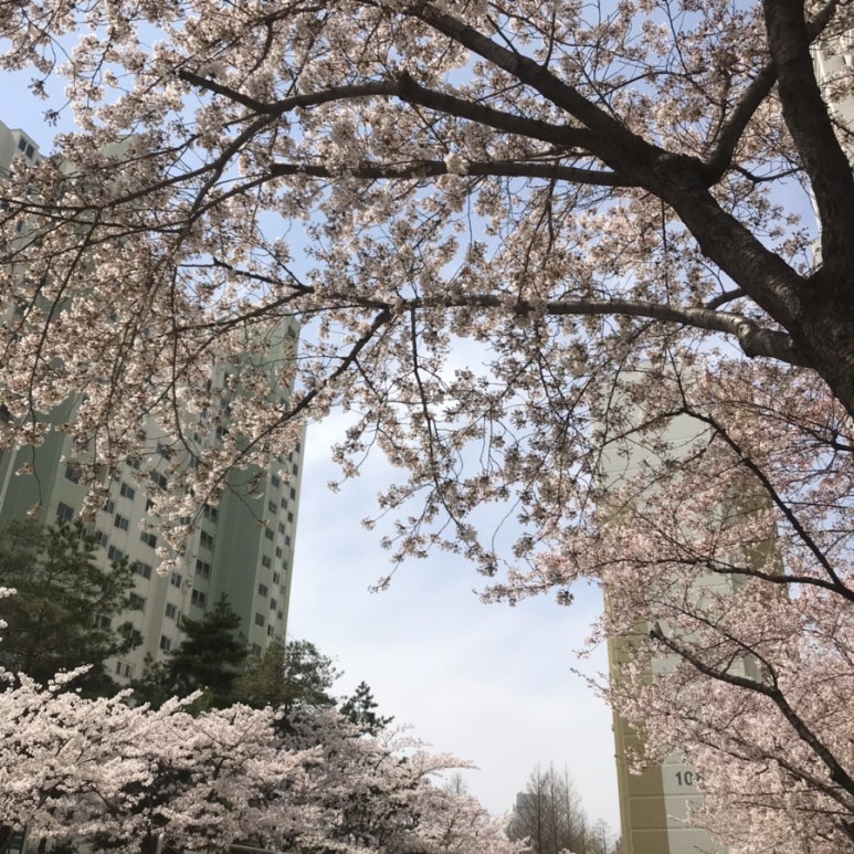 동평떡 이미지