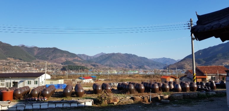 지리산청솔식품 이미지