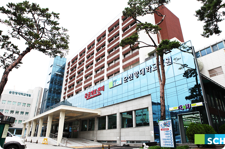 서울46 이미지