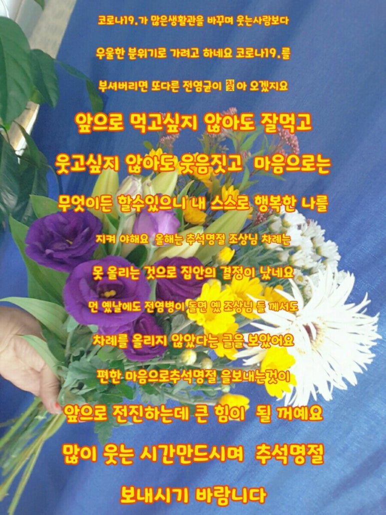 아침향기화원 이미지
