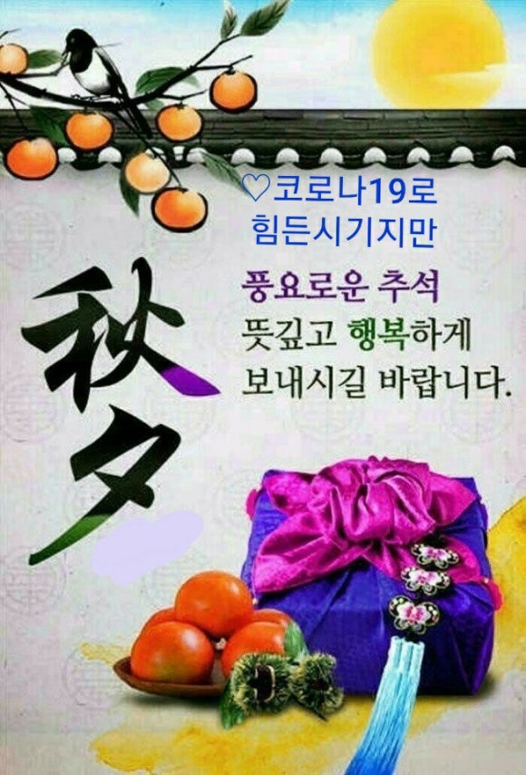 솔다 이미지