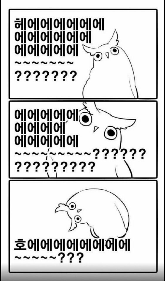 누보닭갈비 이미지
