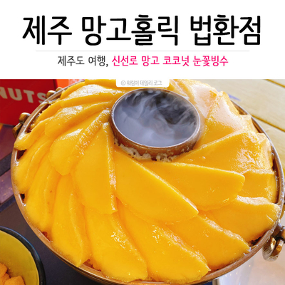 망고홀릭법환점 이미지