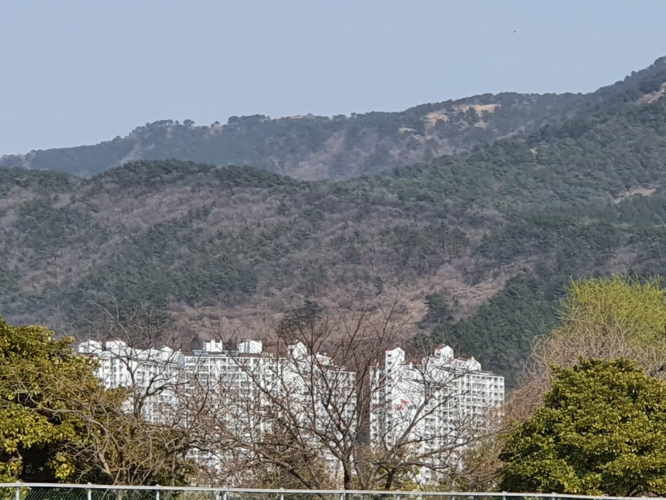 운선생 이미지