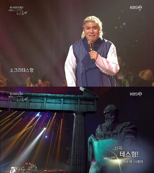 지중해소나무 이미지