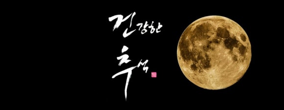 크린업24모종점 이미지