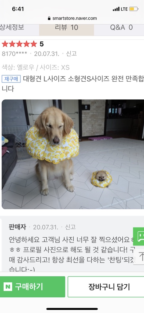 솔다 이미지