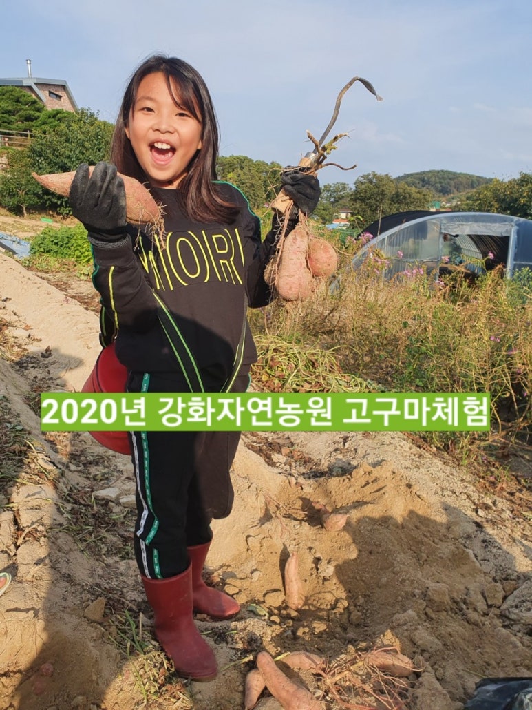 강화농원 이미지