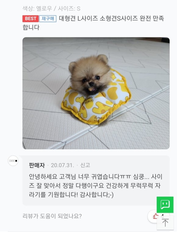솔다 이미지