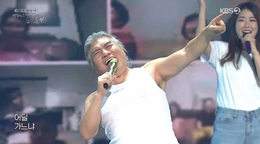 지중해소나무 이미지