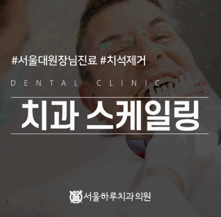 서울착한치과의원 이미지