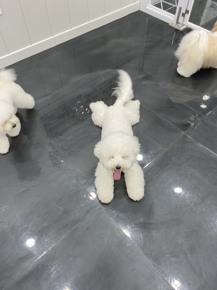 하루미 미용실 이미지