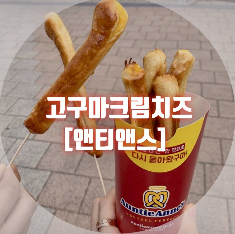 앤티앤스성서 이미지