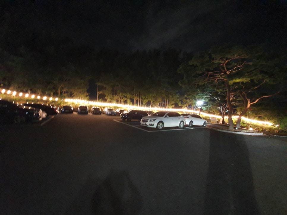 카르멜 인 포레스트 이미지
