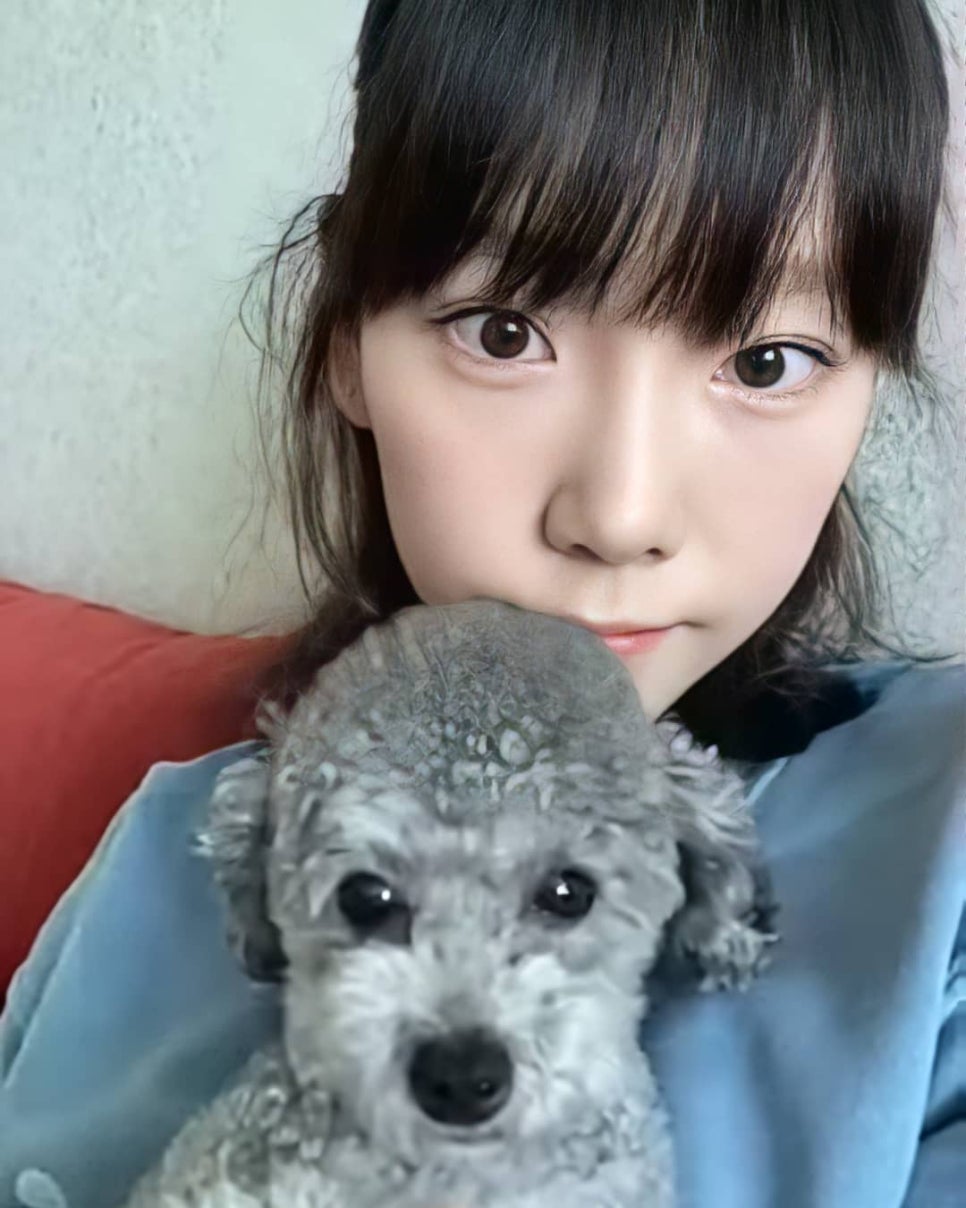 태연라이브 이미지