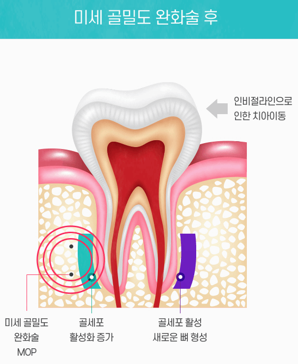 다정한치과의원 이미지