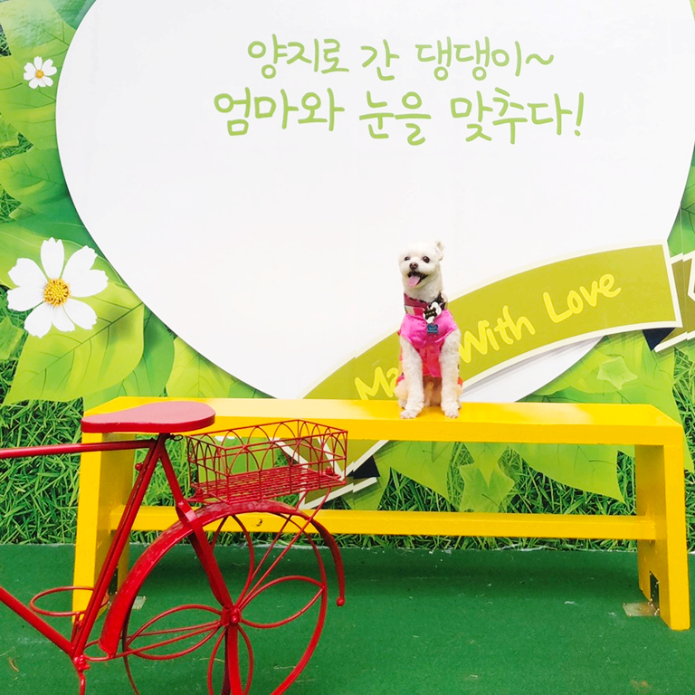 양지한복 이미지