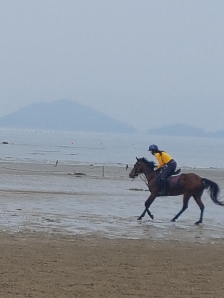 김제지평선홀스랜드 이미지