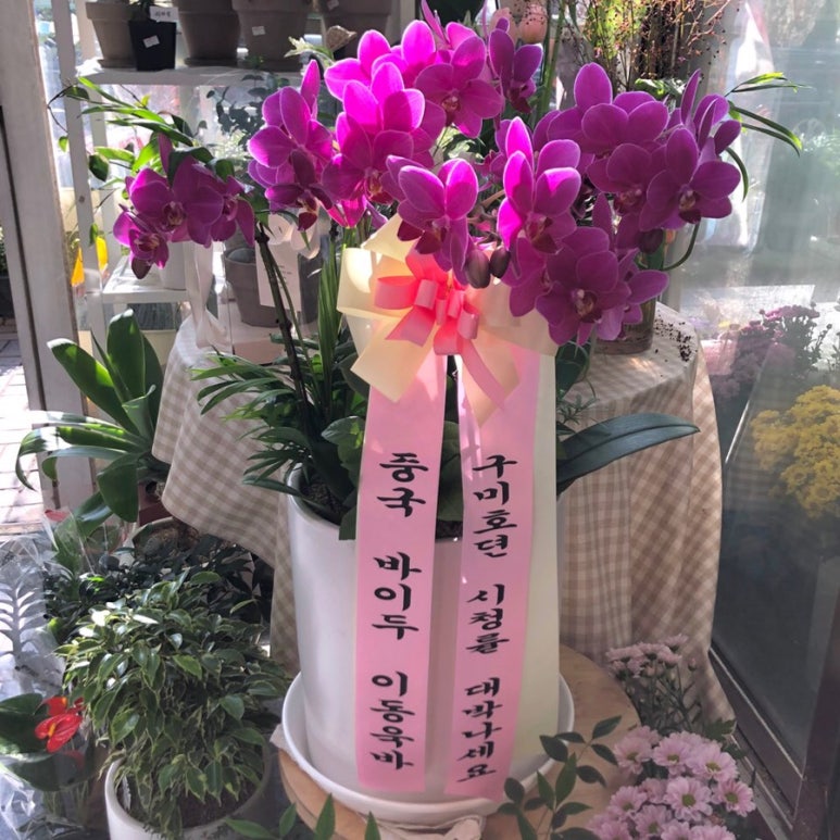 유진화원 이미지