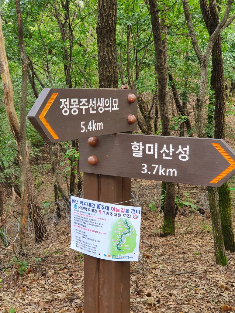 향수산 정상 이미지